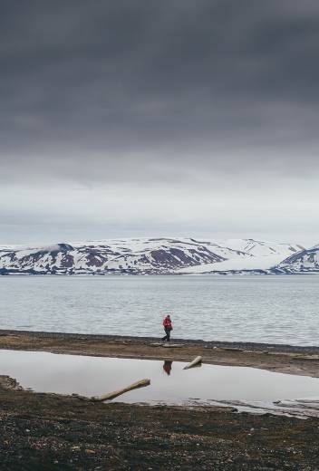 Polar Bears, Glaciers, and Beyond: The Top Wildlife and Adventure Experiences in Svalbard 
