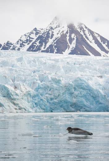 Canadian Arctic Discovery: Where History, Wildlife and Community Converge