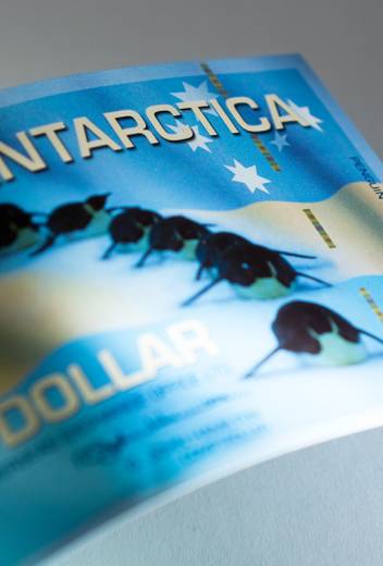 The Best Expedition Cruises To Antarctica