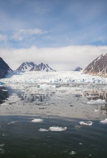 Polar Bears, Glaciers, and Beyond: The Top Wildlife and Adventure Experiences in Svalbard 