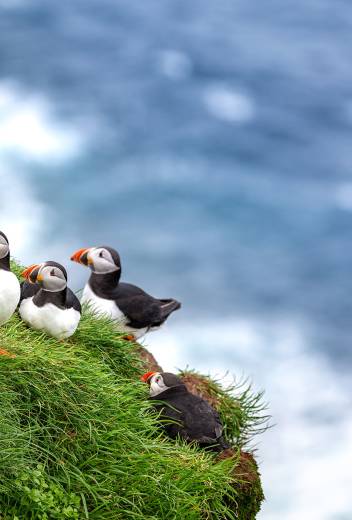 Antarctic Season 2026/2027 Launch – New Adventures: Whales, Camping & Science