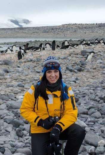 The Best Expedition Cruises To Antarctica