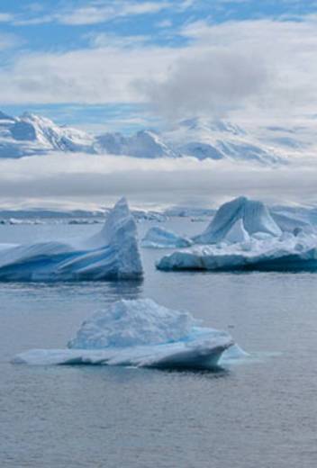 The Antarctic Peninsula