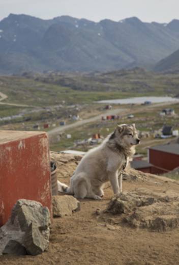 The Northwest Passage: Three Weeks in the High Arctic