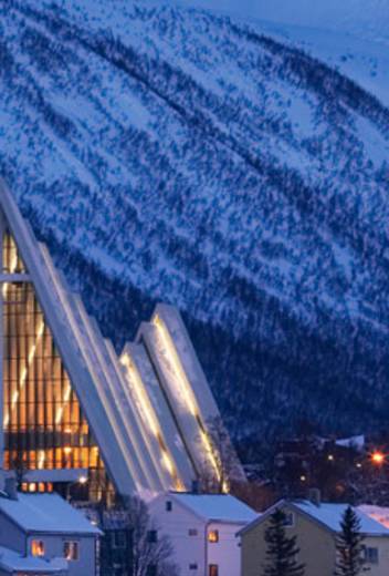 An Unscripted Arctic Safari: Candid Encounters with Iconic Wildlife
