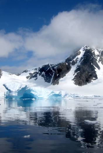 How To Enjoy Bird Watching In Antarctica