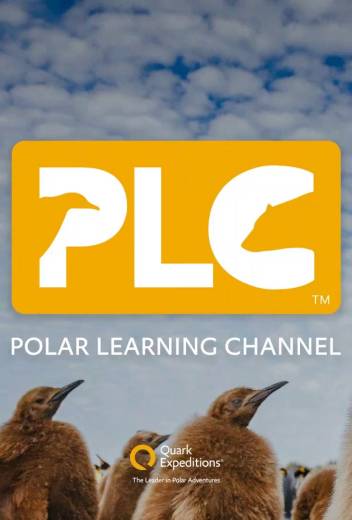 A Family-Friendly Introduction to the Polar Regions