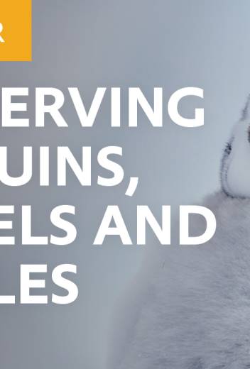 Conservation of Whales, Penguins and Petrels