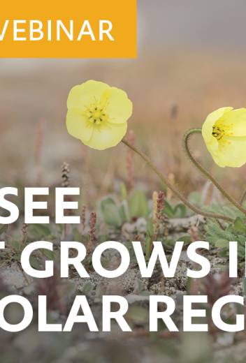 Let’s see what grows in the Polar Regions!