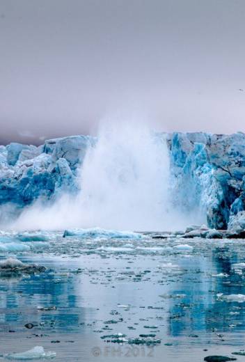 Top 5 Reasons to Visit the North Pole
