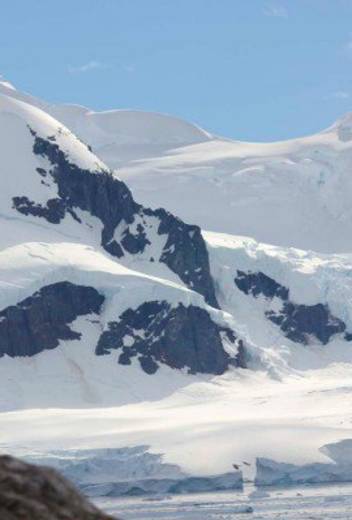 3 Top Destinations to Spot Incredible Arctic Animals in the Wild