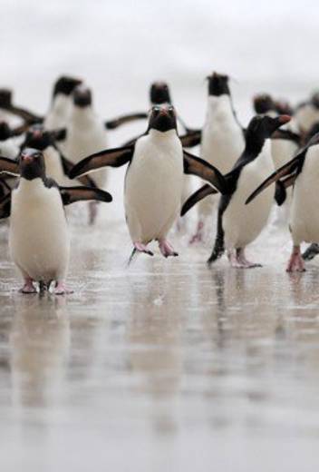 What to Expect on Your Extreme Camping Trip in Antarctica