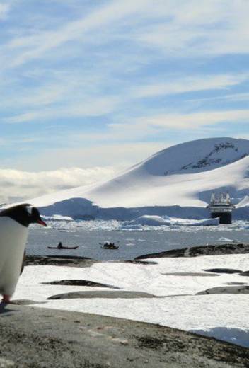 3 Top Destinations to Spot Incredible Arctic Animals in the Wild