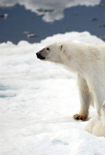 Best Places To Visit In Greenland