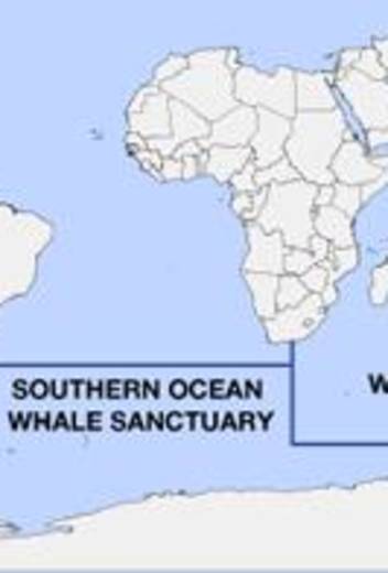 Antarctic Season 2026/2027 Launch – New Adventures: Whales, Camping & Science