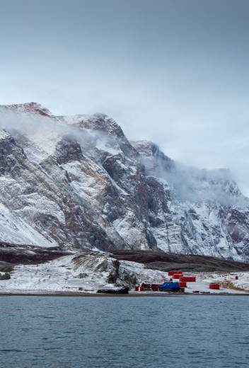 Arctic