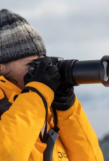 How do seals adapt to the rigors of the Antarctic? 