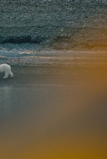 Why Polar Expeditions Make the Best Family Adventure Vacations