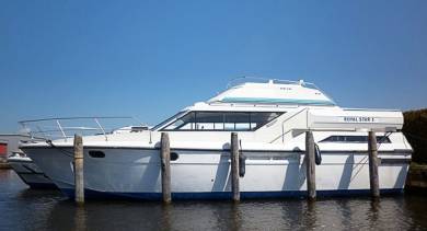 Royal Star WHS - teaser