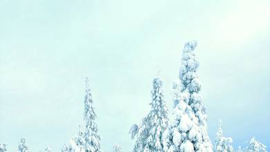 Finland Family Winter Adventure