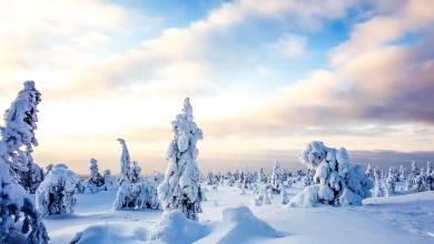 Finnish Wilderness Week