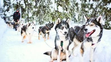 Finnish Wilderness Week