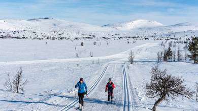 Cross-Country Skiing in Venabu