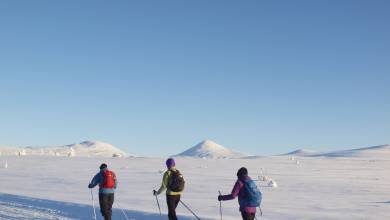 Cross-Country Skiing in Venabu