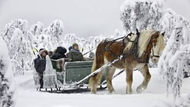 Cross-Country Skiing in Venabu