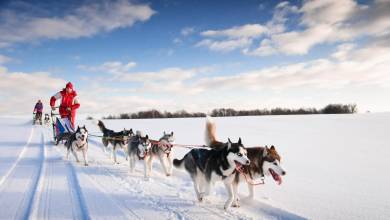 Cross-Country Skiing in Venabu