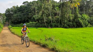 Cycle the Back Roads of Sri Lanka