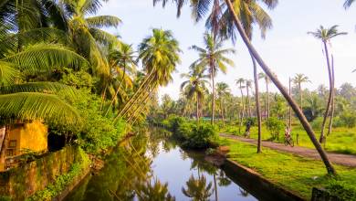 Cycle Kerala & Tropical India