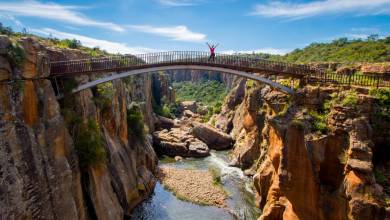 Southern Africa Safari: Kruger & Coast