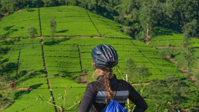 Cycle the Back Roads of Sri Lanka