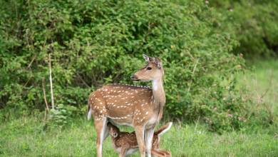 Cycle Kerala & Tropical India