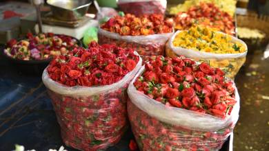 Southern India Coast to Coast Ride