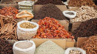 Cycle Kerala & Tropical India