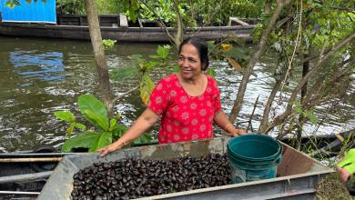 Cycle Kerala & Tropical India