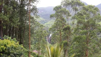 Cycle the Back Roads of Sri Lanka