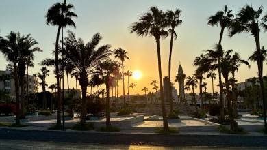 Petra & Wadi Rum by Bike