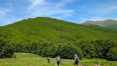 Walking Northern Tuscany