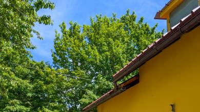 Walking Northern Tuscany