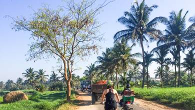 Cycle Kerala & Tropical India