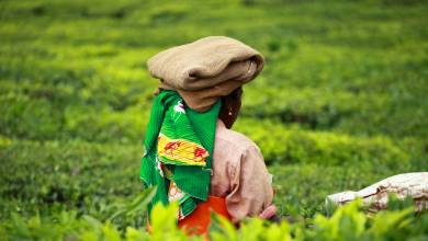 Southern India Coast to Coast Ride