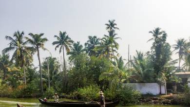 Cycle Kerala & Tropical India