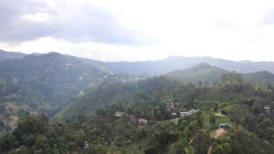 Cycle the Back Roads of Sri Lanka