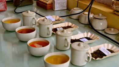 Cycle Kerala & Tropical India