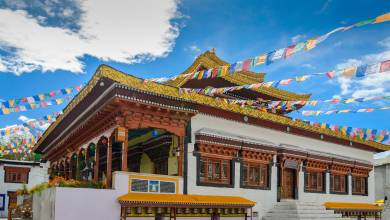 Search for Snow Leopards with Valerie Parkinson