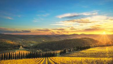 Tuscany Walks & Chianti Wines