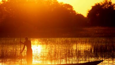 Botswana & Zimbabwe Lodge Safari